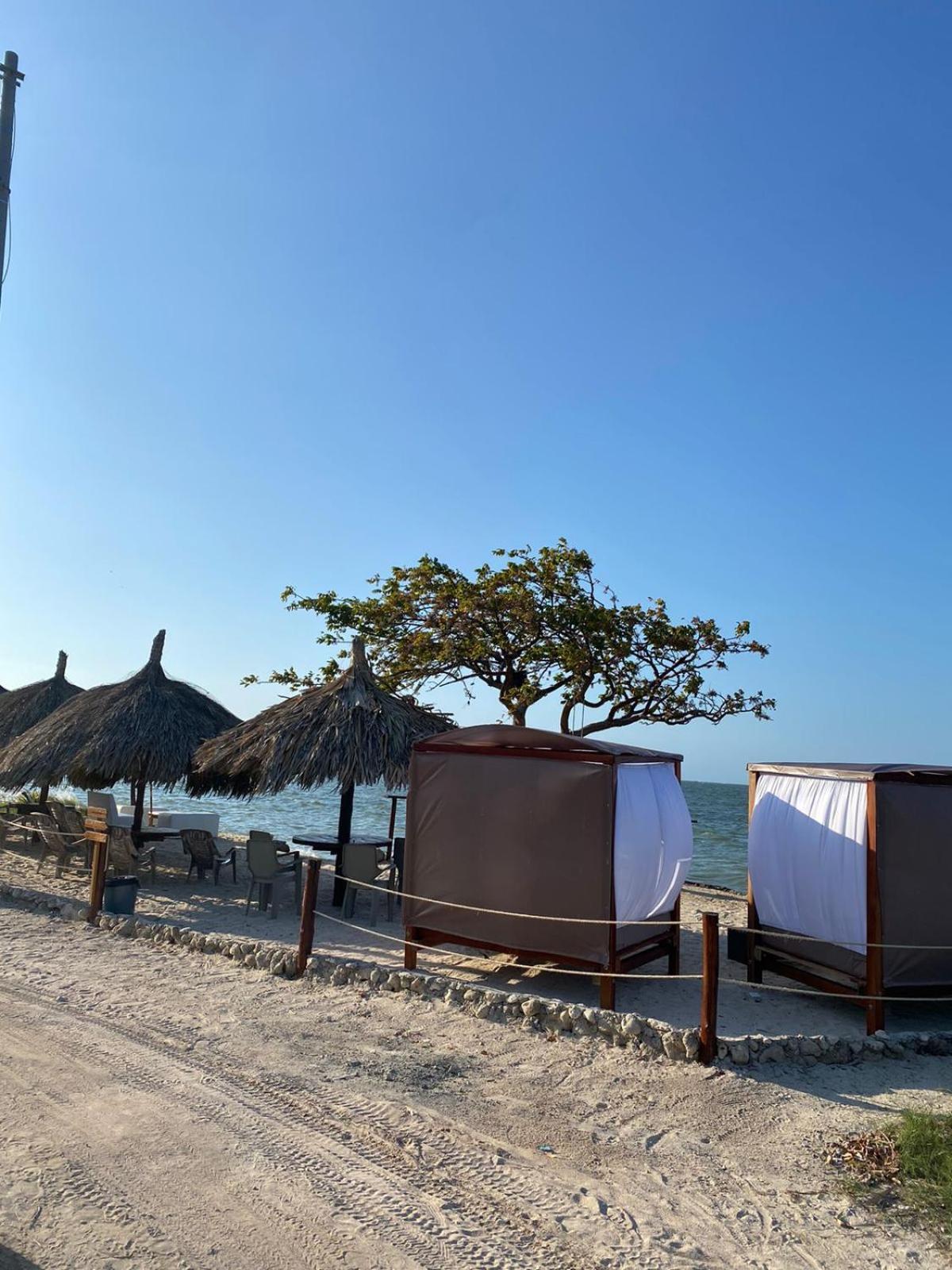 Punta Arena Beach Guest house Playa de Punta Arena